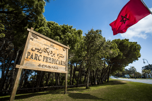  Les plus beaux parcs et jardins de Tanger